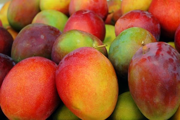 Mango Pimsins