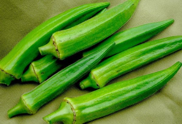 Okra fruits