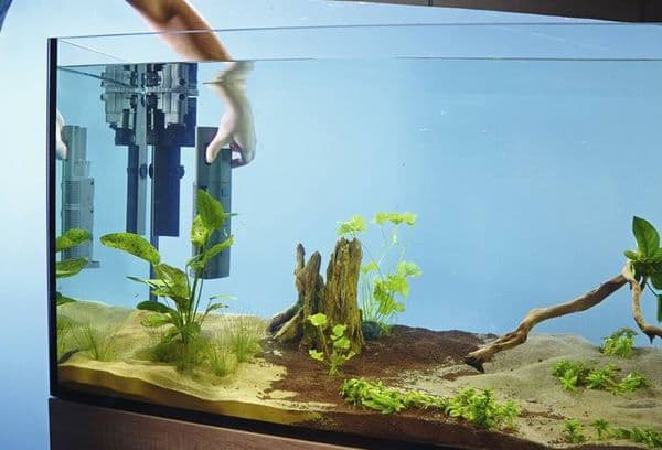 aquarium
