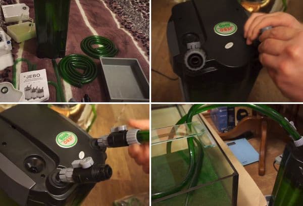 Installing a filter in the aquarium