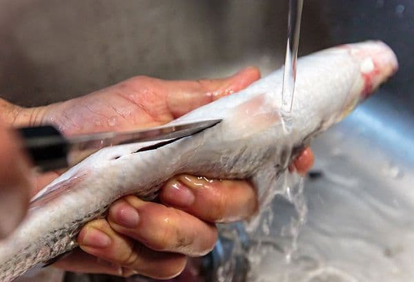 Fish cleaning