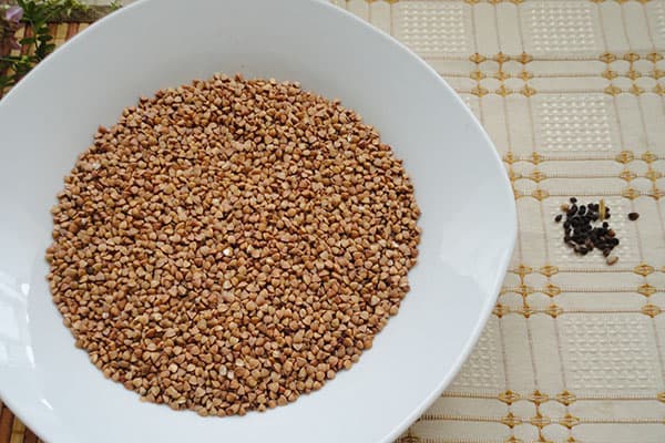 Buckwheat and garbage selected from it