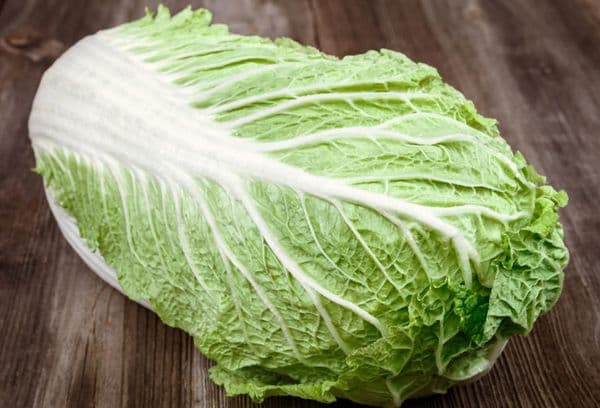 Head of cabbage