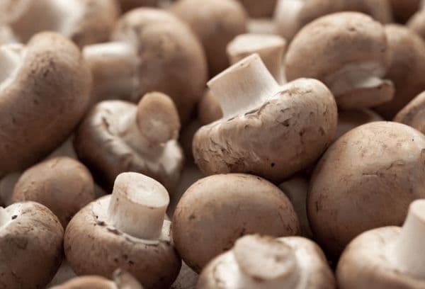 fresh champignons