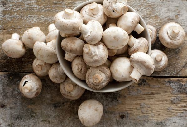 bowl of mushrooms