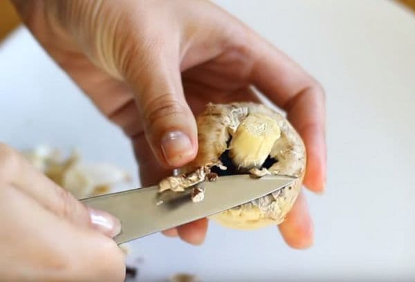 mushroom cleaning