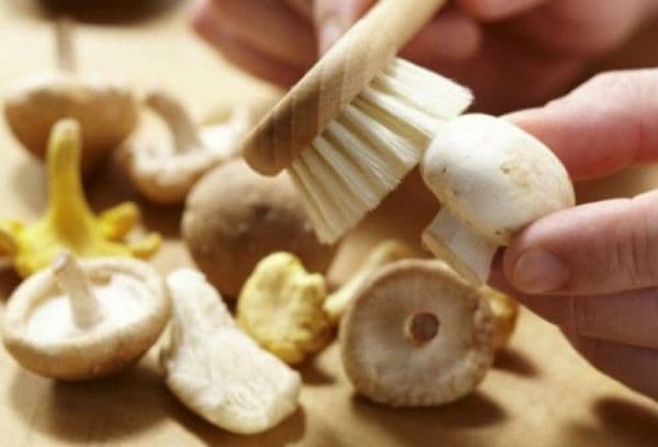 brushing mushrooms