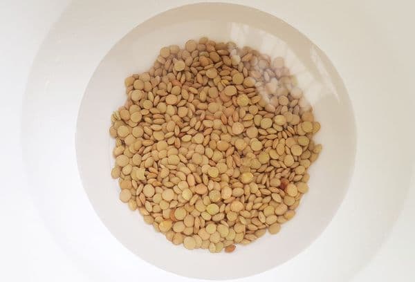 lentils in water