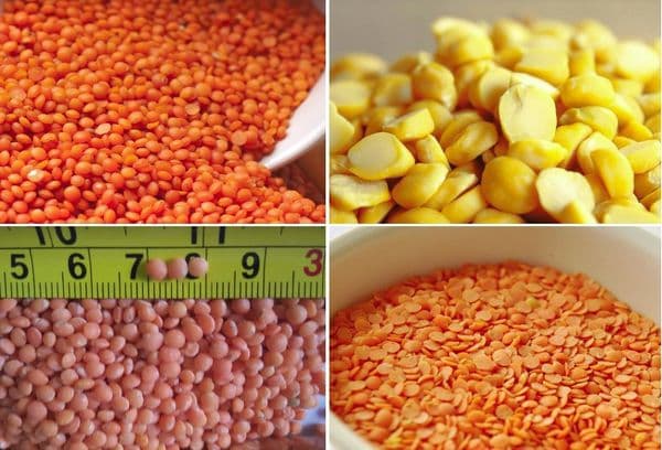 different varieties of lentils