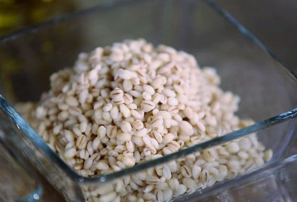 soaked barley