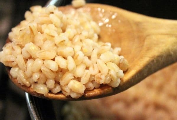 boiled barley