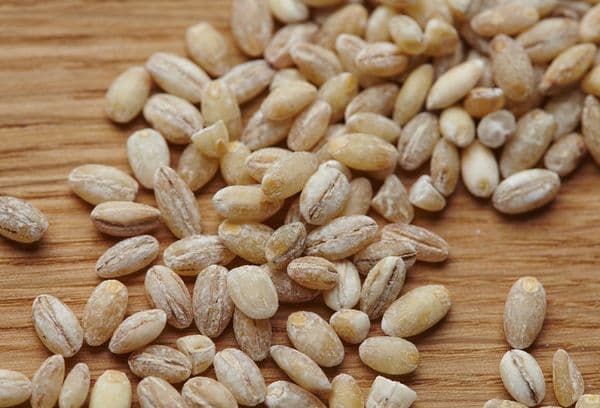 pearl barley