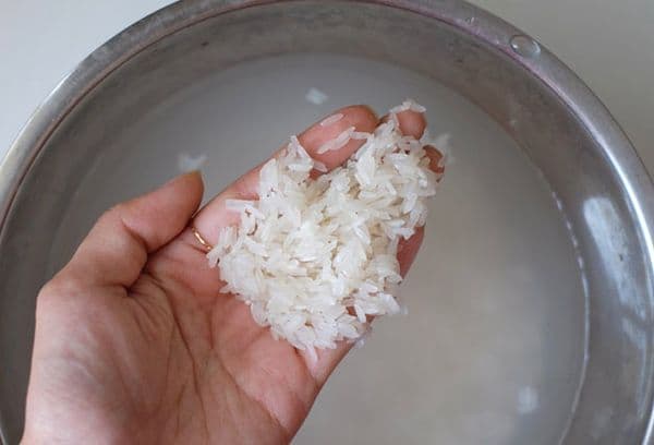 soaked rice