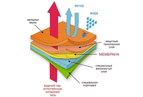 Layers of thermal underwear