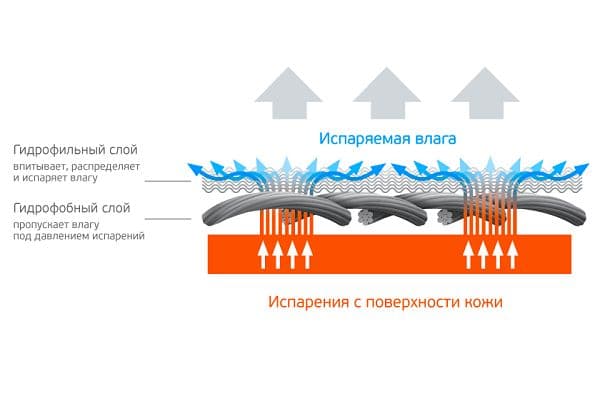 Thermal underwear action