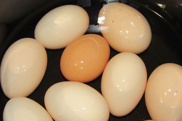 Boiled eggs