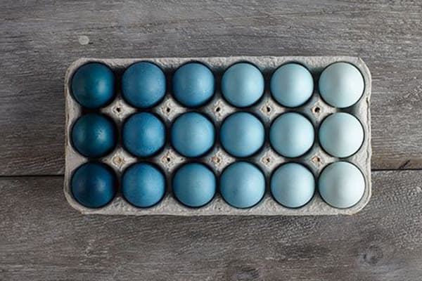 Eggs painted with different intensities