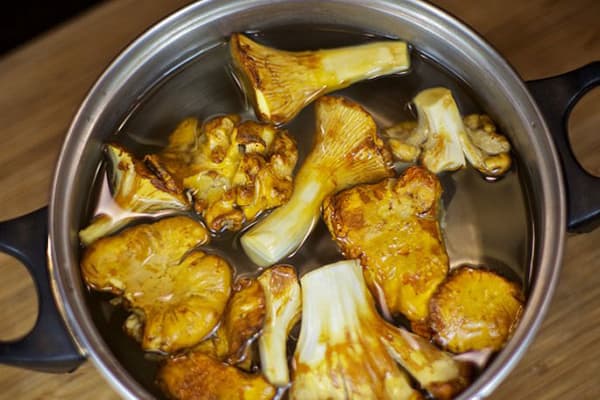 Mushrooms in a pan with water