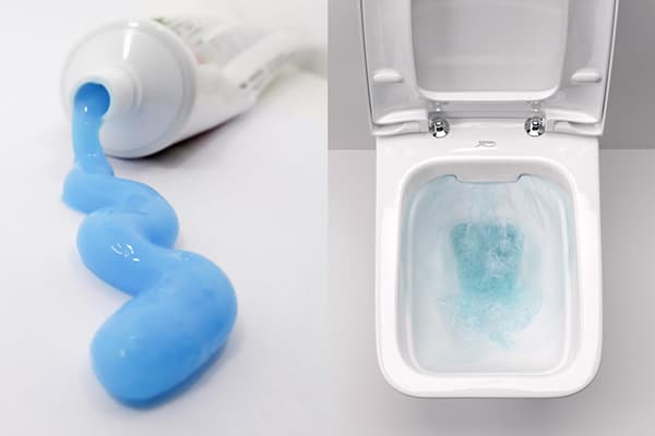 Toothpaste for toilet freshness