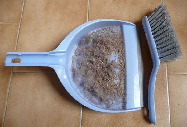 House dust