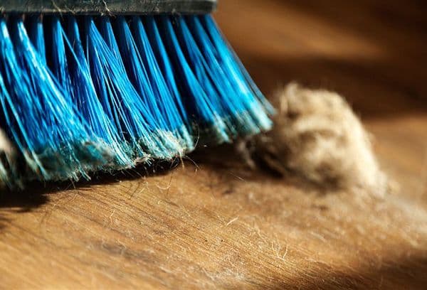 Home Cleaning Brush