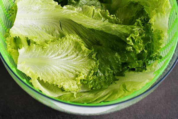 Washed Lettuce