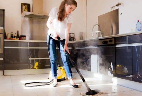 Steam cleaner