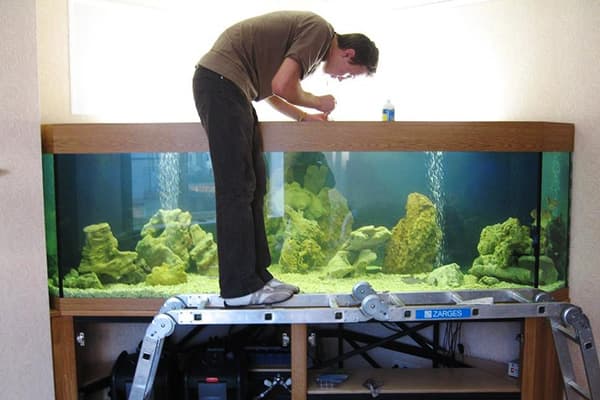 Aquarium cleaning