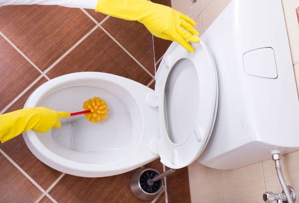 Cleaning the toilet