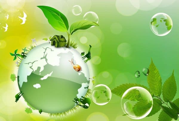 Environmental ecology