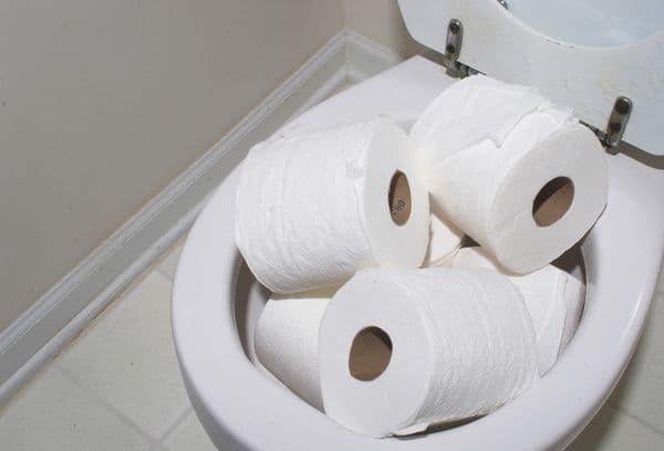 Toilet rolls in the toilet