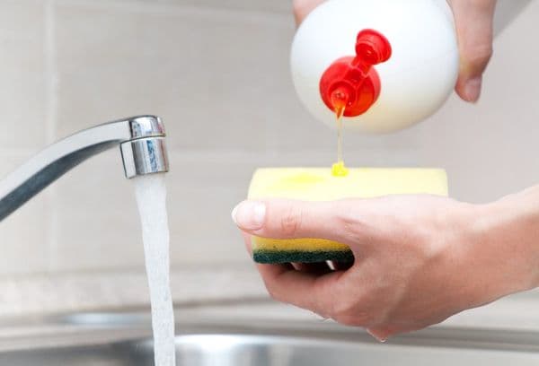 Sponge and jelly for dishes