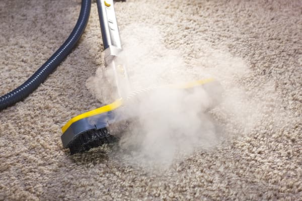 Carpet steam cleaner