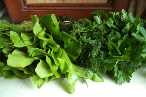 Sorrel, dill and parsley