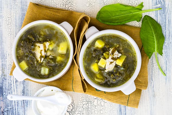 Green borsch with sorrel