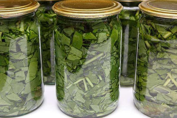 Blanched sorrel in sterile jars