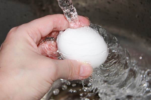 Egg wash