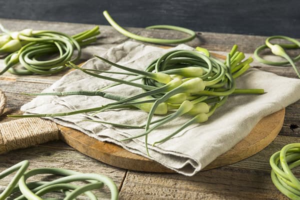Overripe Garlic Arrows