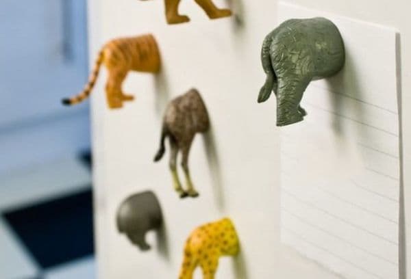 Animal magnets