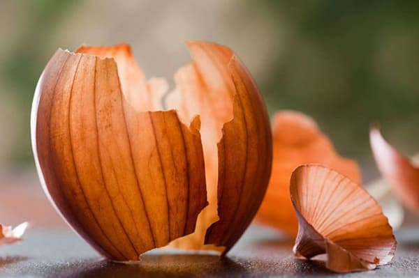 Onion peel