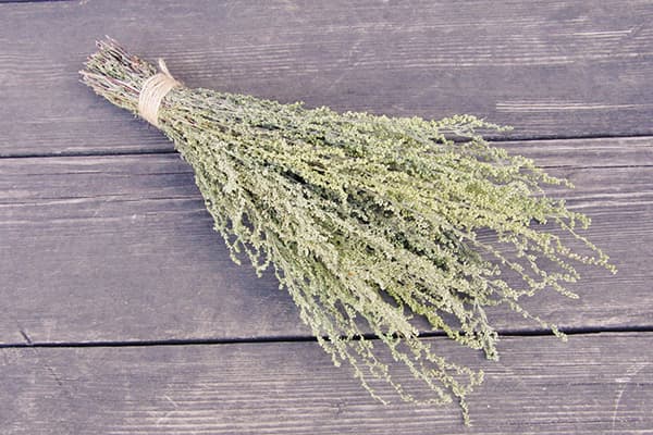 Dry wormwood