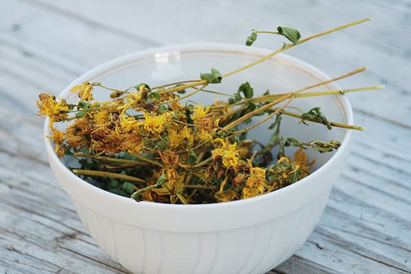 Dried St. John's wort