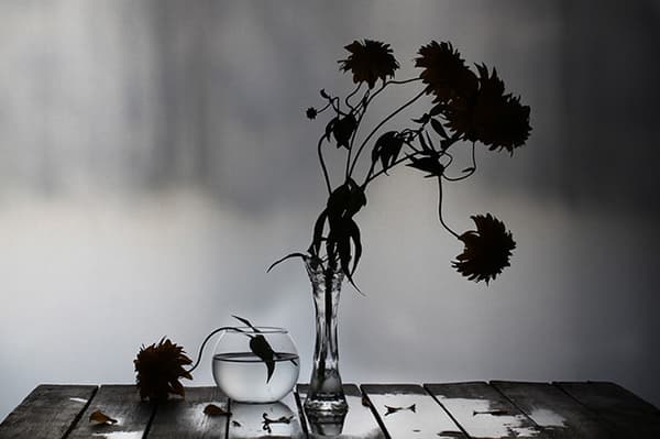 Wilted flowers in a vase