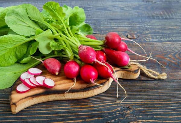 Garden radish