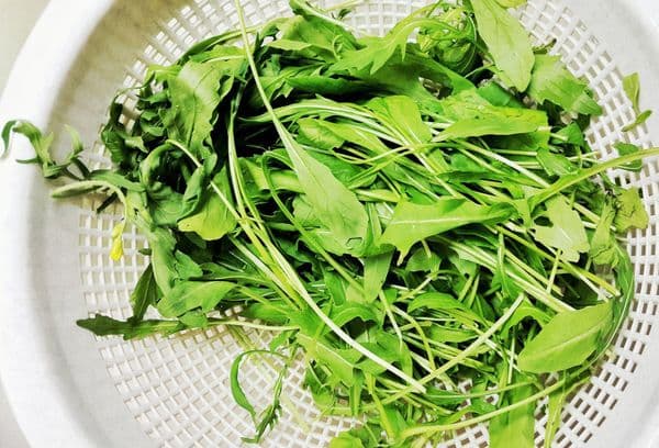 drying greens