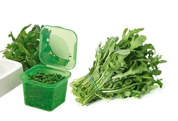 Fresh arugula leaves