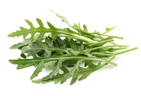 Arugula freezing