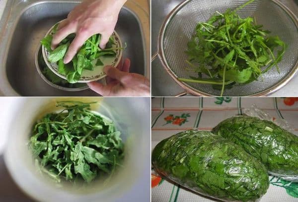 Arugula freezing