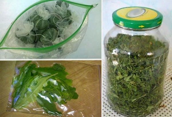 Drying arugula at home