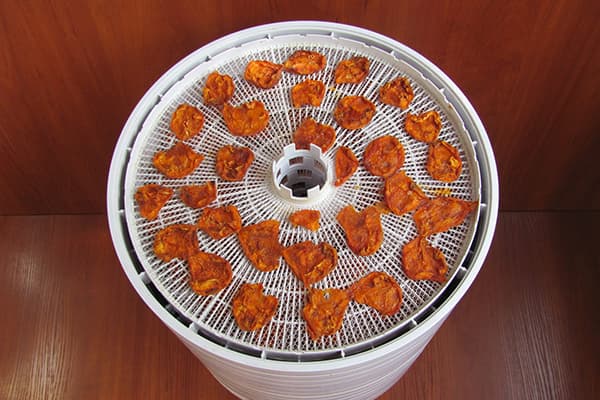 Apricots in an electric dryer